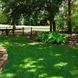 Shade lawn grass 1 kg 1011 photo 2