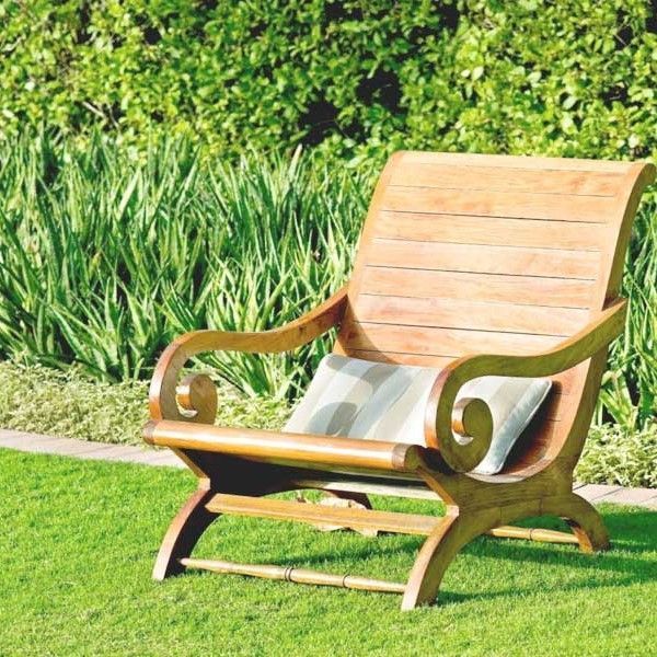 Sports lawn grass 1 kg 1006 photo