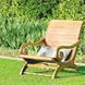 Sports lawn grass 1 kg 1006 photo 3