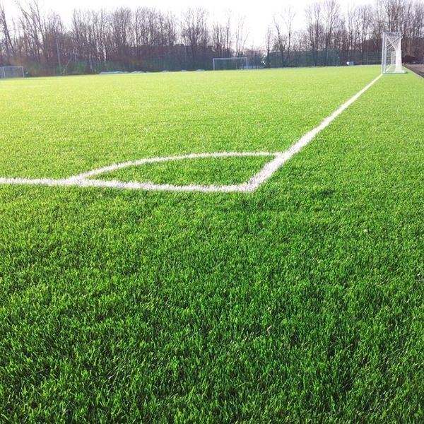 Sports lawn grass 8 kg 1006 photo